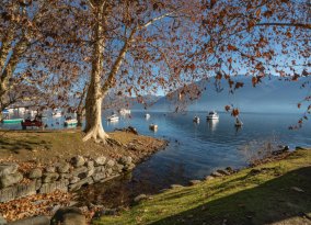 Lago Maggiore - Winter