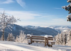 Schwarzwald / Oberharmersbach - Weihnachten