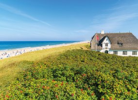 Sylt