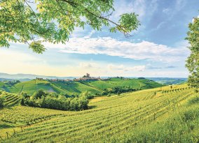 Langhe-Gebiet
