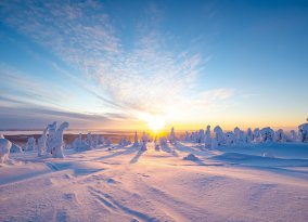 Lappland im Winter