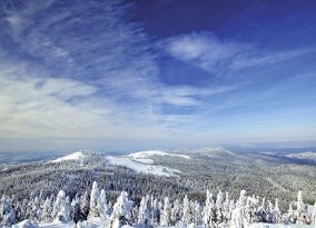 Bayerischer Wald