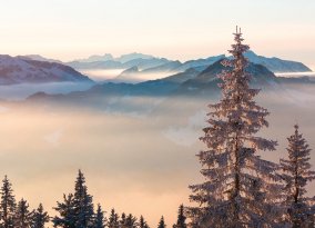 Kleinwalsertal - Reise für Singles und Alleinreisende